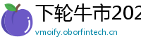 下轮牛市2021启动
